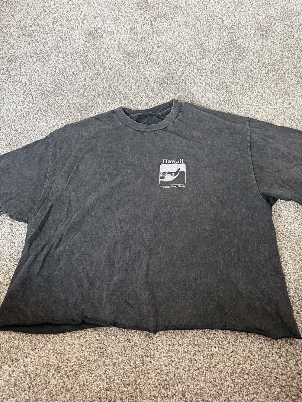 Brandy Melville Black Hawaii Graphic Crewneck Tee